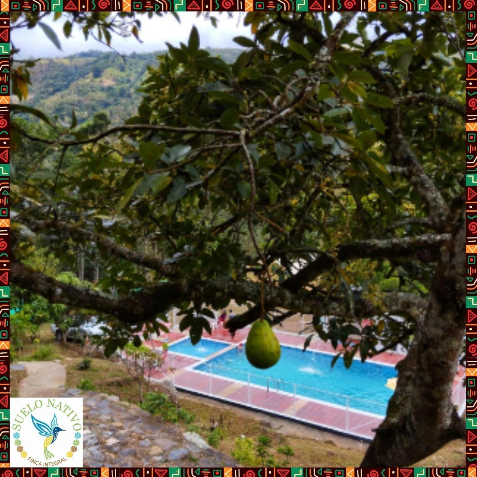 Hotel Finca Integral Suelo Natiivo "Integramos El Campo Con Tu Bienestar" 과두아스 외부 사진