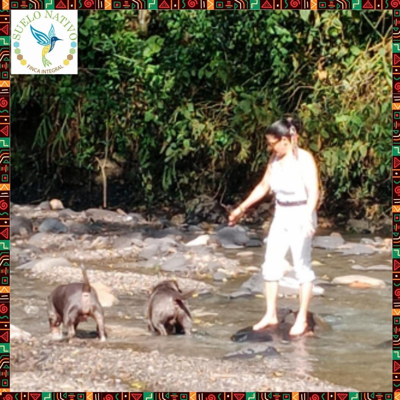 Hotel Finca Integral Suelo Natiivo "Integramos El Campo Con Tu Bienestar" 과두아스 외부 사진