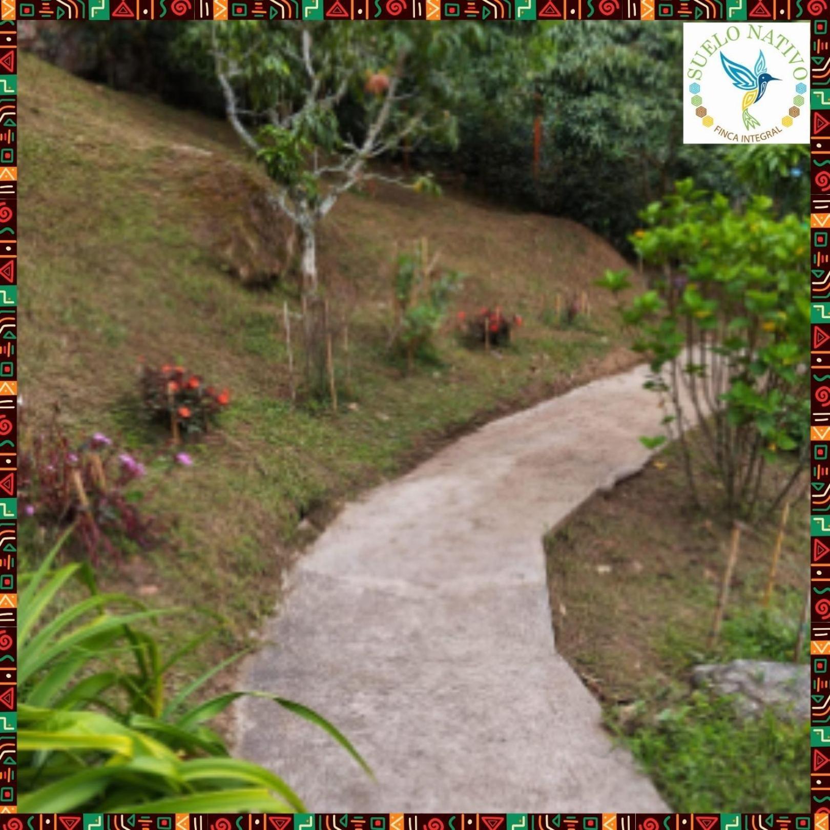 Hotel Finca Integral Suelo Natiivo "Integramos El Campo Con Tu Bienestar" 과두아스 외부 사진
