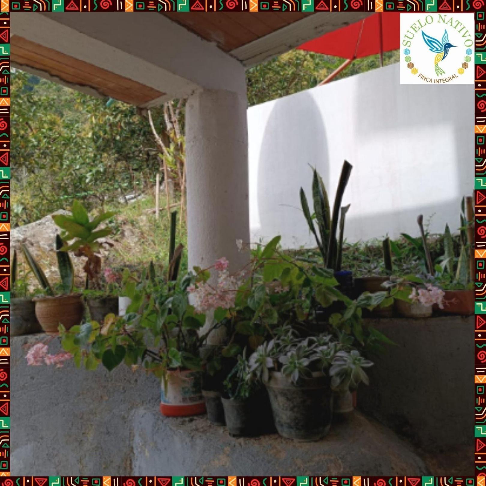 Hotel Finca Integral Suelo Natiivo "Integramos El Campo Con Tu Bienestar" 과두아스 외부 사진